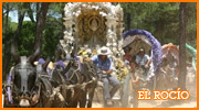 ampliar